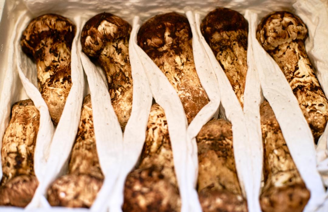 新鲜松茸怎么吃这些吃法值得一试,新鲜松茸清洗后吸水量大保存方法