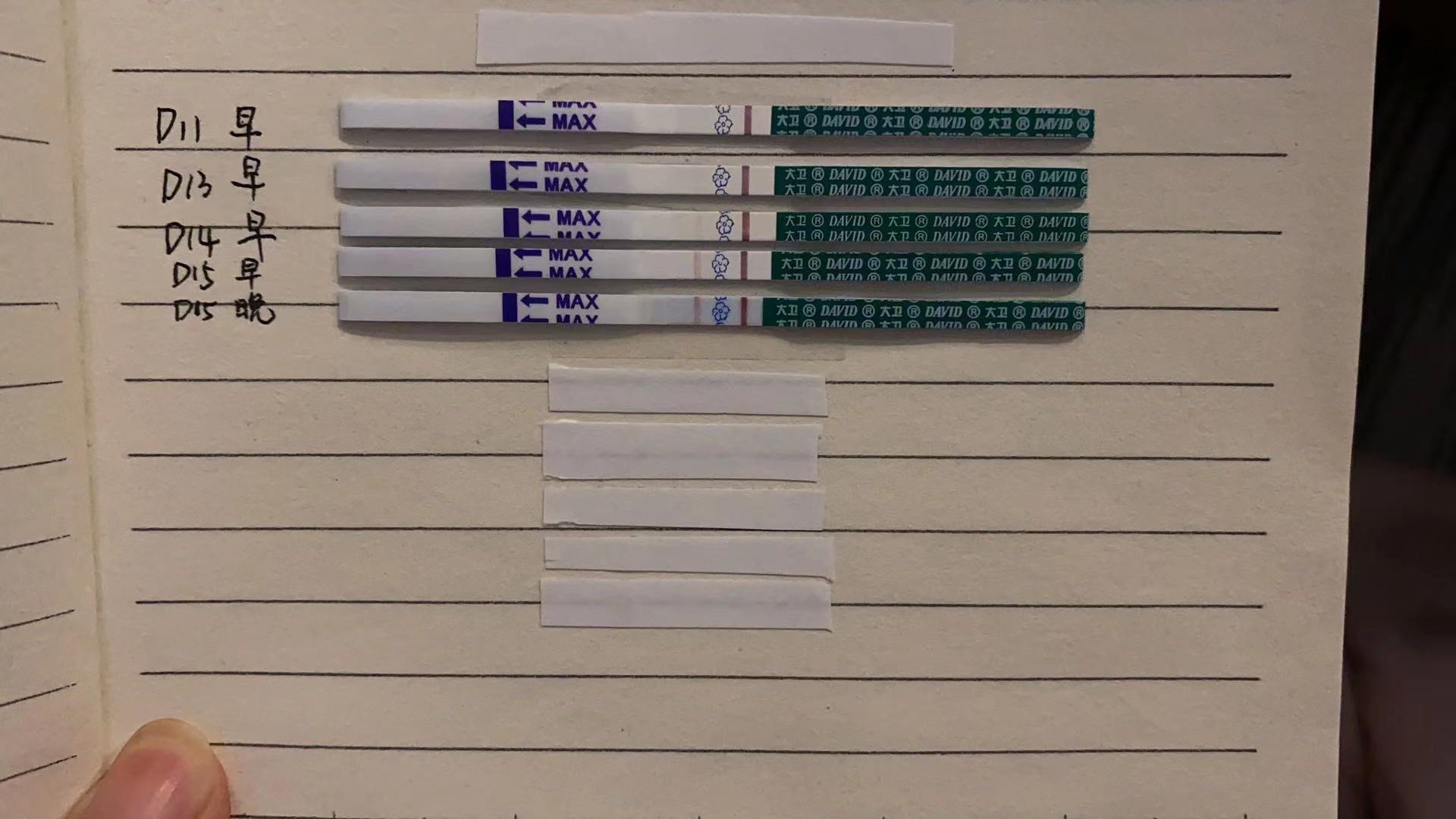 二十七年的坚持终于迎来转机,七年的努力和辛苦