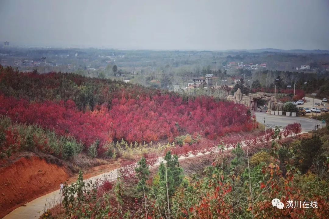潢川双柳高山,潢川最高峰