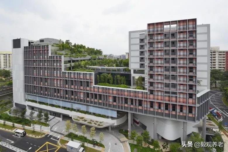 新加坡养老服务专业,新加坡有好的养老社区吗