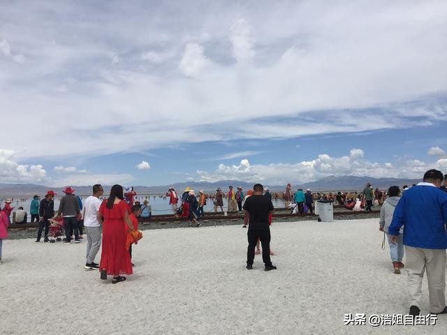 青海湖大环线7天自驾游攻略,6月青海大环线旅游攻略