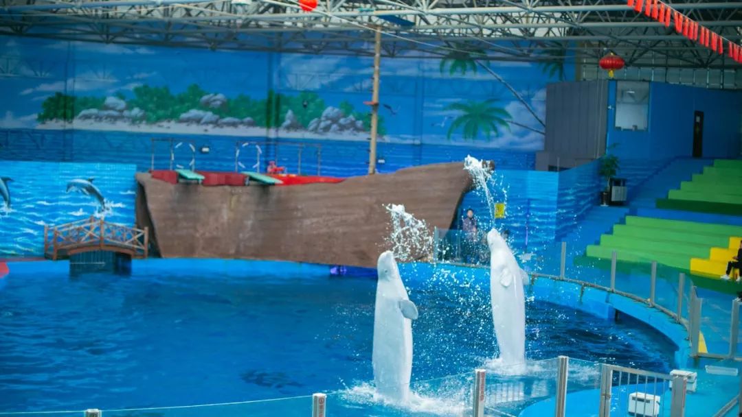 鏄嗘槑钀屽疇鍔ㄧ墿涓婚涔愬洯,鏄嗘槑瀹ゅ唴钀屽疇涔愬洯