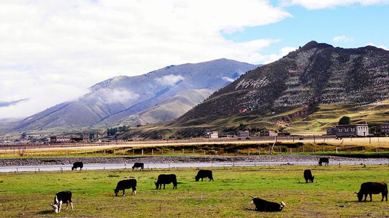 道孚县特色小吃,四川道孚有什么特产