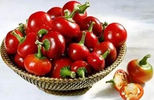 全世界辣椒排行榜前十,世界上十大辣椒排行榜