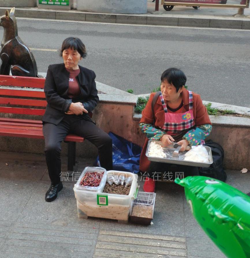 你每天走在大冶街头,竟然不知道这些移动小摊贩?