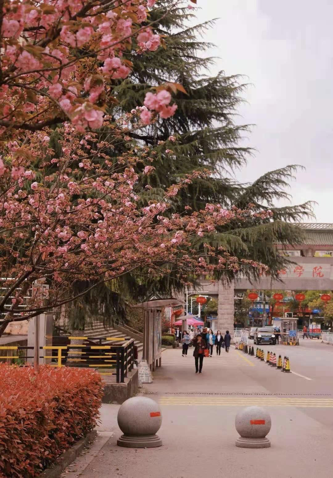 江西有哪些大学申硕成功,2024年九江学院能否申硕成功