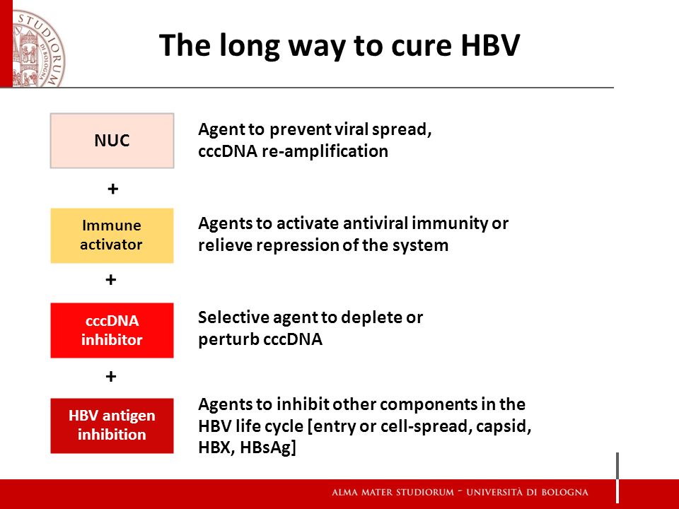 恩替卡韦好还是替诺福韦好,替诺福韦和恩替卡韦哪个致癌率低
