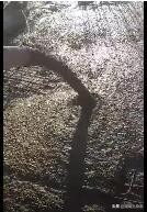 工地一般抹灰通病,混凝土砂率偏高怎么调整