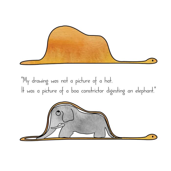 最大眼镜王蛇泡酒,眼镜王蛇用什么药材泡酒好