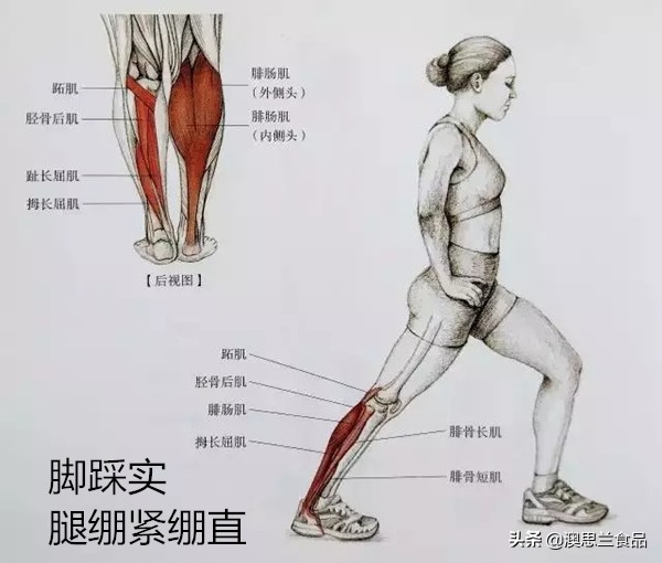 小腿肌胖怎么瘦腿,大腿肥胖小腿粗壮怎么改善