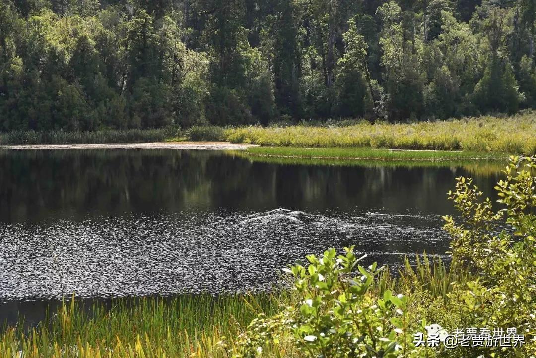新西兰的五个漂亮的地方,新西兰最好的五大城市