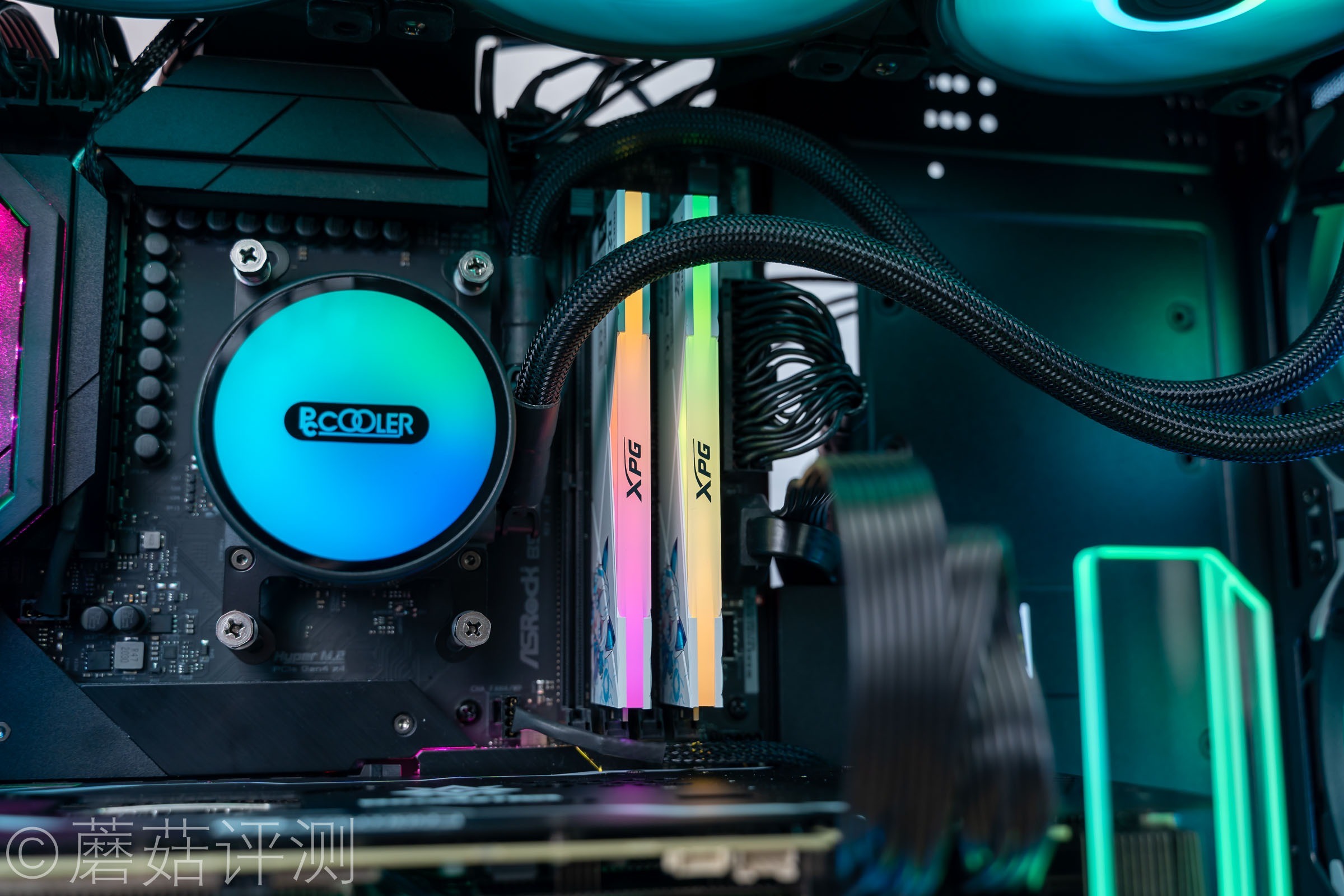 威刚龙耀d50吹雪联名用的什么颗粒,龙耀d50吹雪和普通版有什么区别