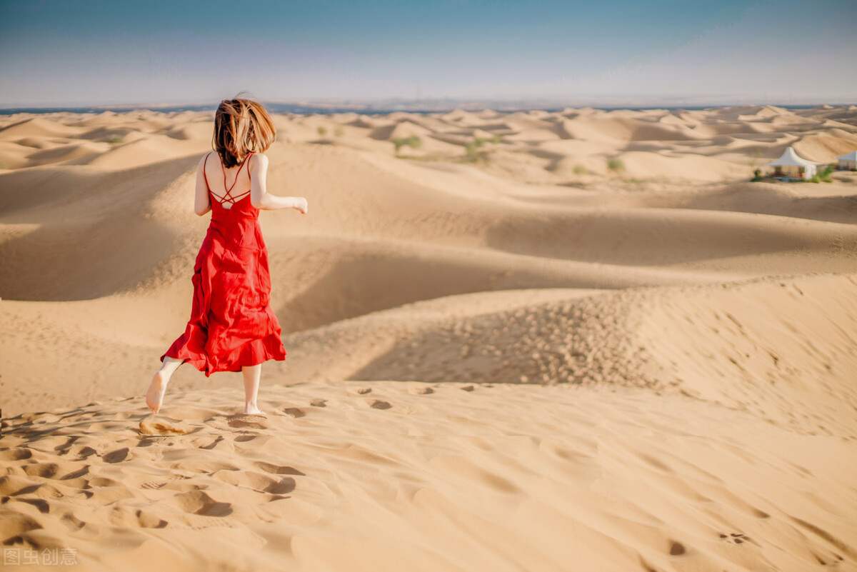 蝴蝶堂｜多彩多姿：沙漠之花，诉说沙漠的奇妙意境，优雅且灵动