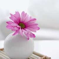 翡翠鉴别一般怎么鉴定,怎样辨别真假翡翠最有效的方法