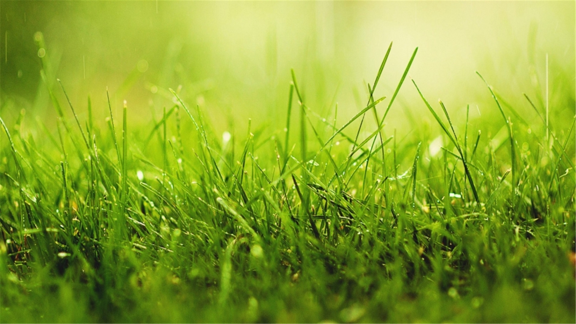 蓝色护眼壁纸唯美图片,最美的护眼桌面壁纸