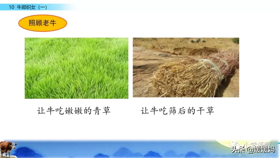 部编版五年级语文上册牛郎织女题,五上语文牛郎织女第10课ppt