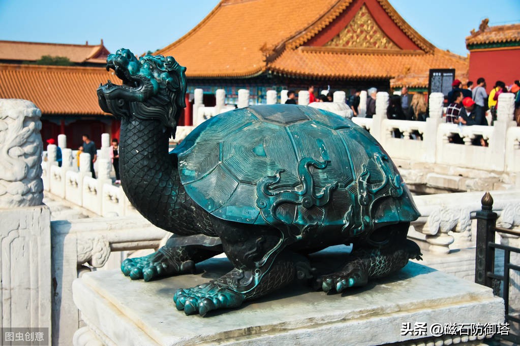 “神龟虽寿，犹有竟时”，龟为何长寿，却又濒危，漫谈龟之寿