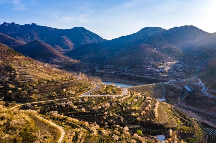 日照最美桃源,寻找最美春天日照惊艳全城