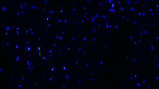 韩国最年轻的组合8人,盘点那些逃过7年魔咒的南韩女团