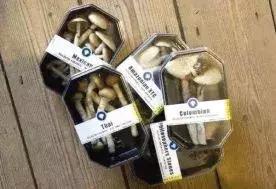 了解毒品的危害视频,你真的了解毒品的危害么