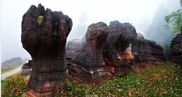 长沙身份证430102,长沙42开头的身份证