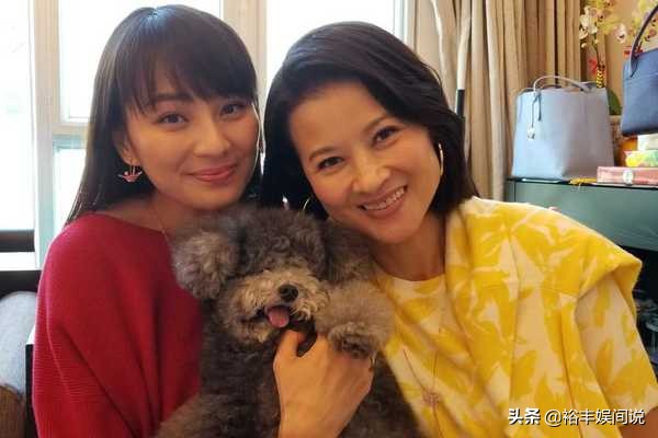 最美亚姐,最美亚姐复出不速之客