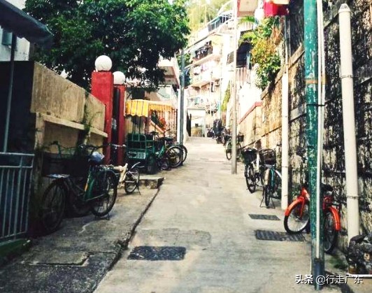 麦兜香港旅游攻略,香港旅游市井