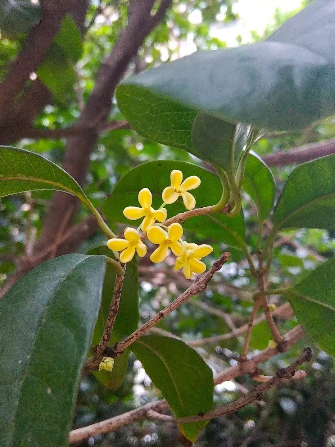 如何进行低段教学,低段班怎么教