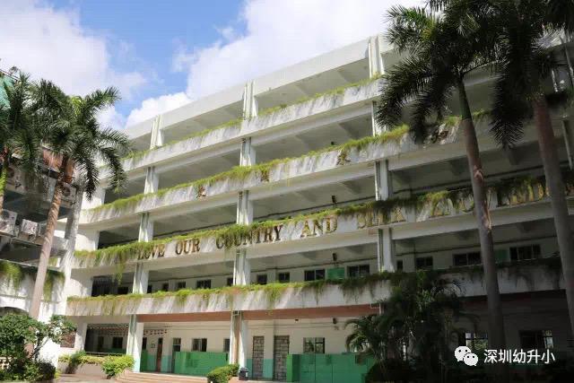 深圳比较好的民办小学学校,深圳龙岗区比较好的民办小学