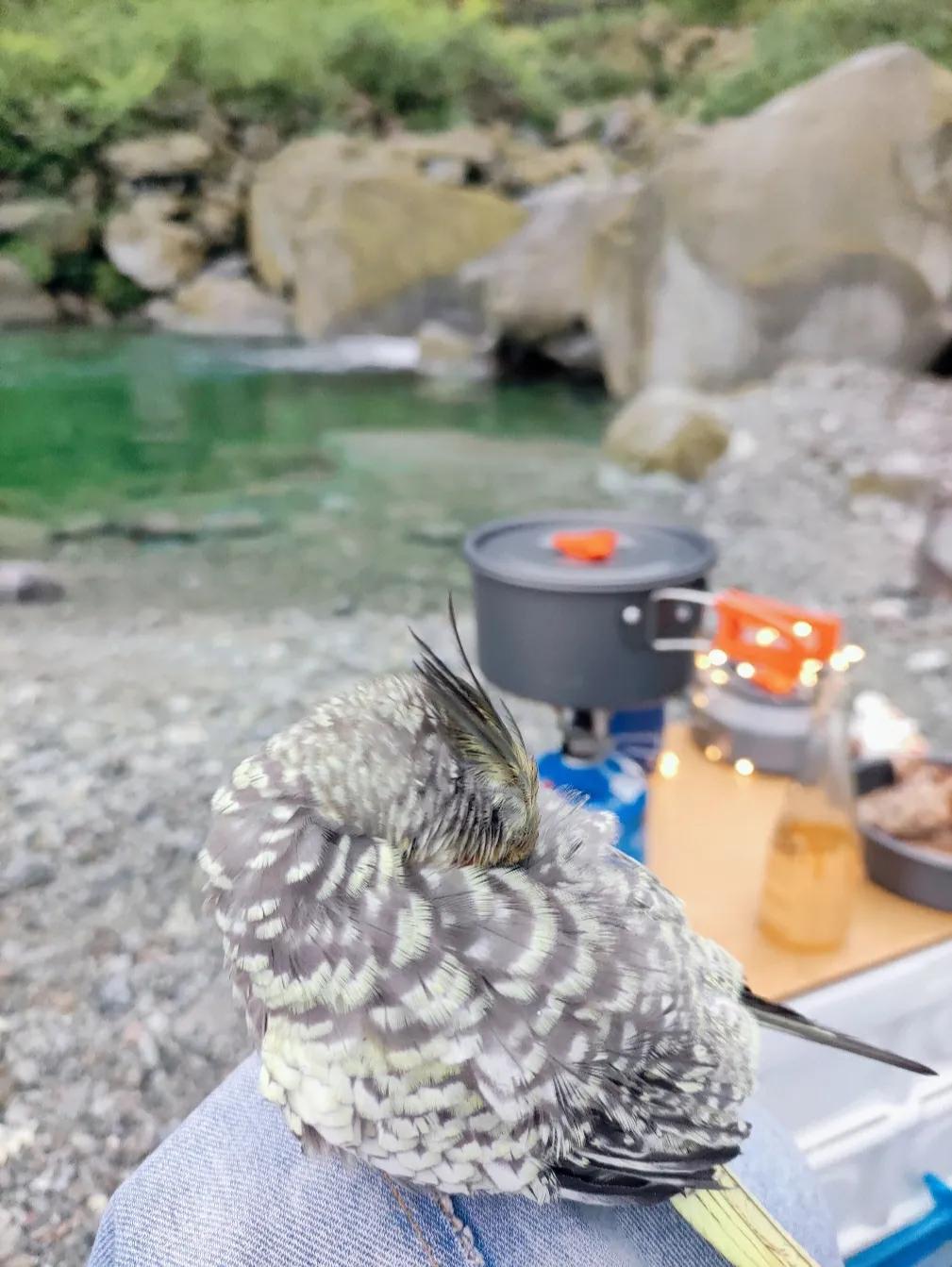 成都周边耍水自驾游,成都周边耍水都关闭了吗