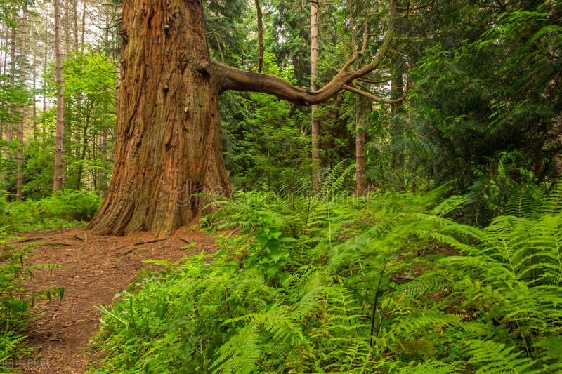 微小说意料,微小说意外的休妻