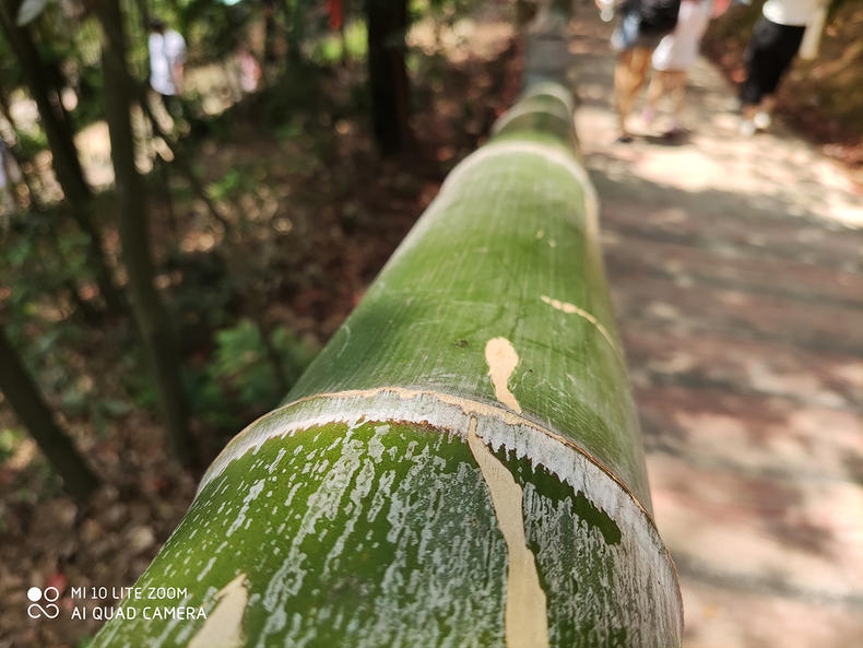 小米50倍变焦镜头最好的旗舰手机,小米5g支持50倍变焦吗