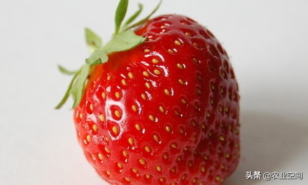 草莓加工酿酒,草莓除了泡酒还可做什么