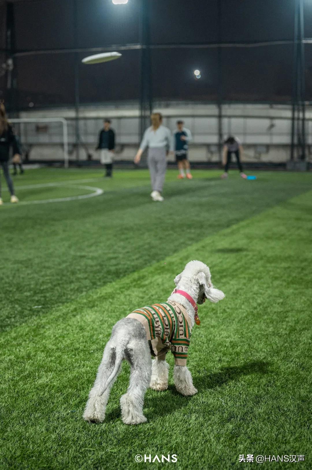 坐标武汉，我被盘了，感觉舒适