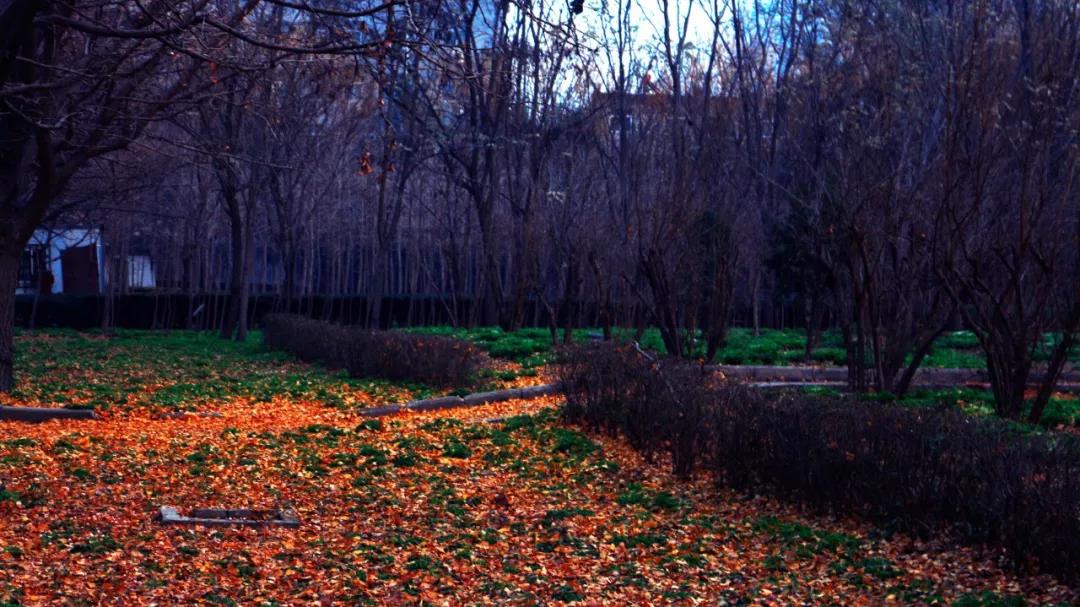 郑州被评为幸福城市有什么看法,2021郑州最具幸福感城市