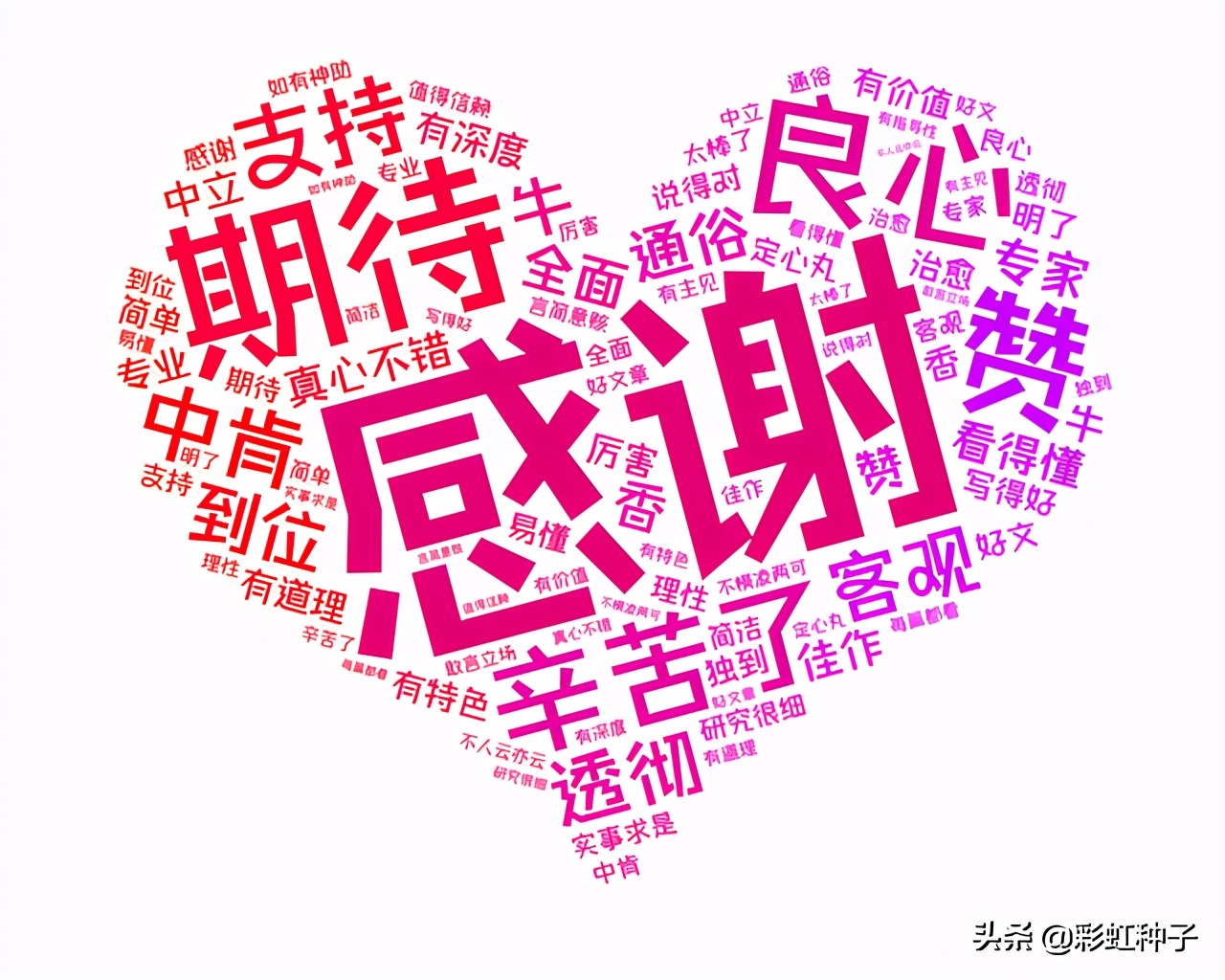 NO.491|汇添富基金杨瑨-汇添富数字未来,值不值得买?