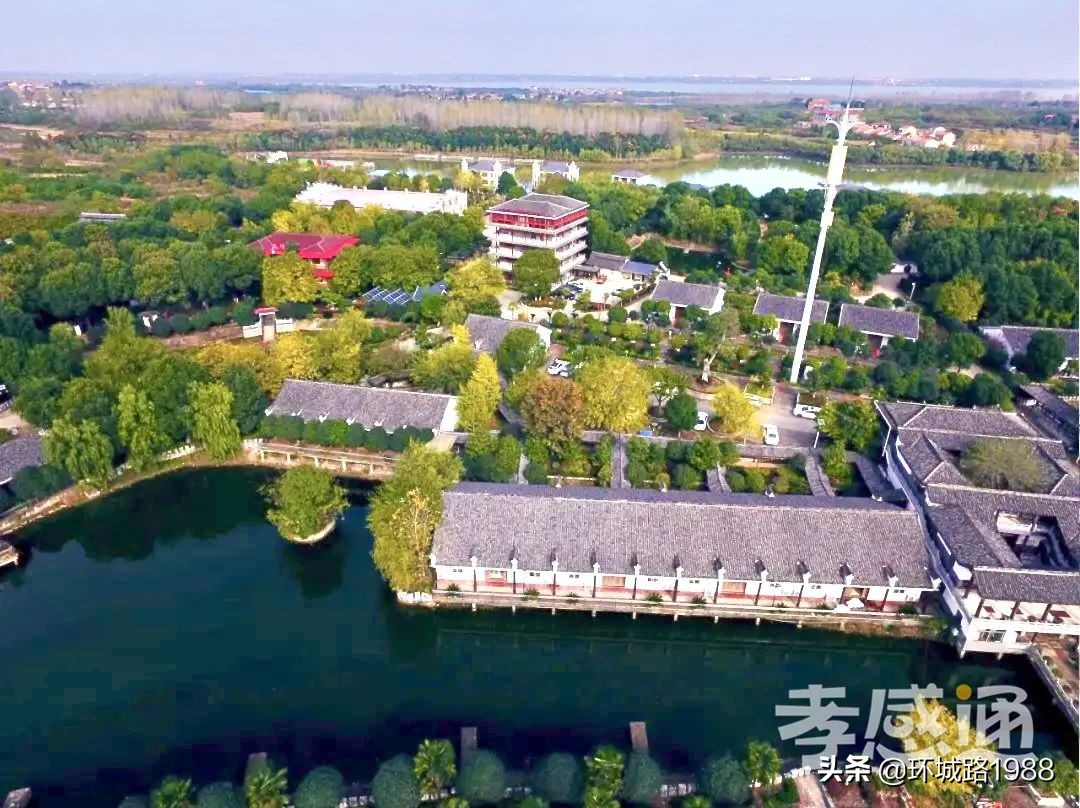 未来可期！向你展现不一样的毛陈