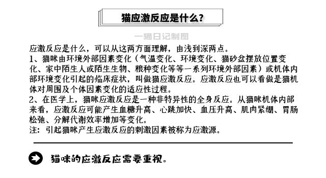 新猫到家一直躲在床底下怎么办,为什么新猫到家一直躲着我