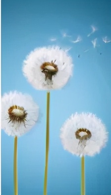 埃菲尔铁塔骗术,法国埃菲尔铁塔骗术