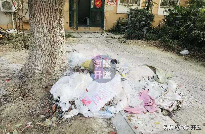 假山里住人！物业不作为，南京超级大盘终于要换物业了