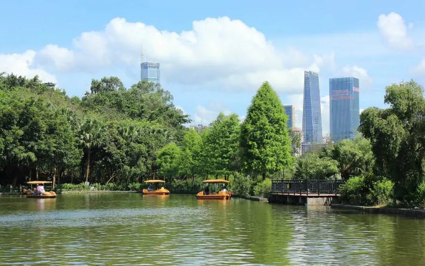 深圳免费钓鱼最佳钓点,深圳最新海钓鱼免费地点推荐