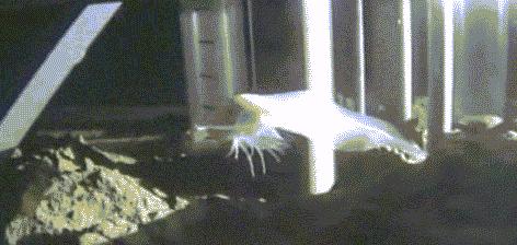 大海到底有多深大海深处又是什么,大海有多深翻译