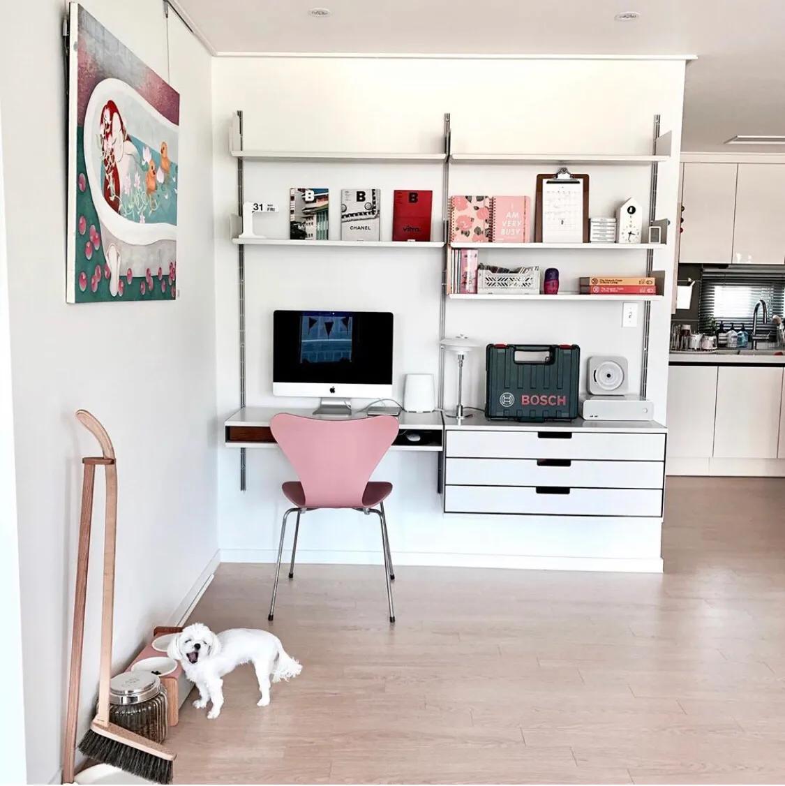 一直买买买！拒绝扔扔扔！重在收纳！韩国妈妈家里一样清爽干净