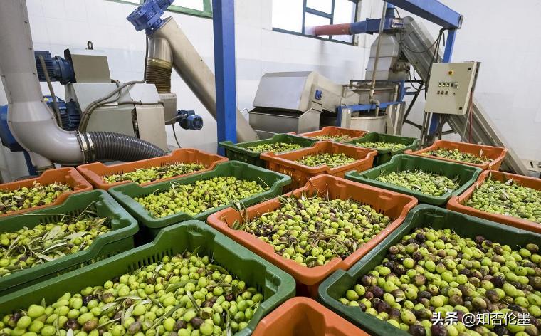 在农村200万以内办什么加工,农村闲置房适合做什么加工产品