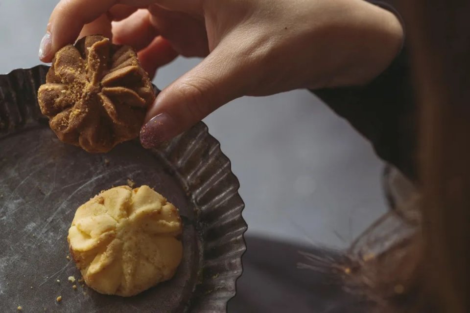 网红小熊曲奇,网红小熊曲奇最新视频