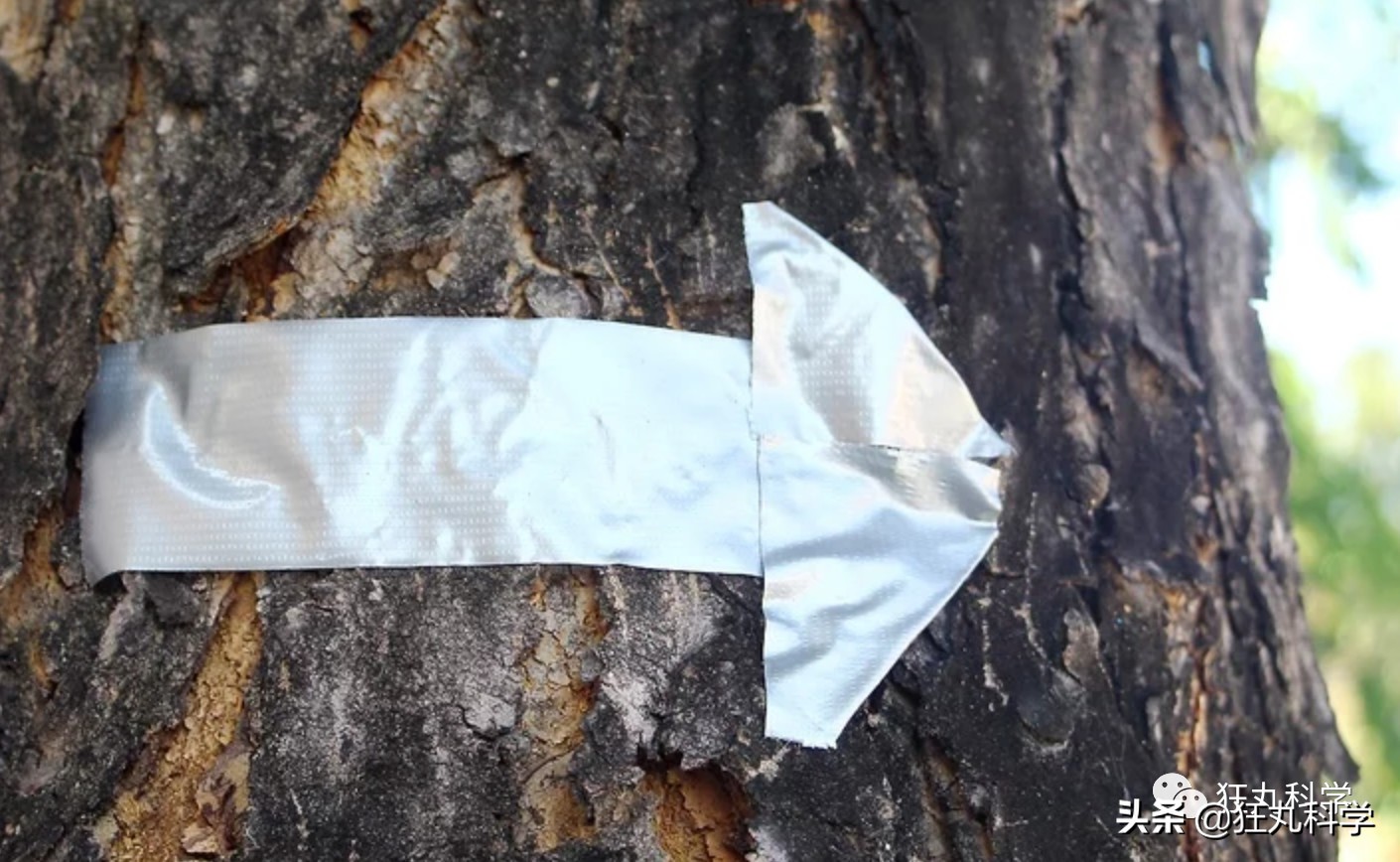 原来胶带也可以当粘粘球来玩,原来胶带还能这样用