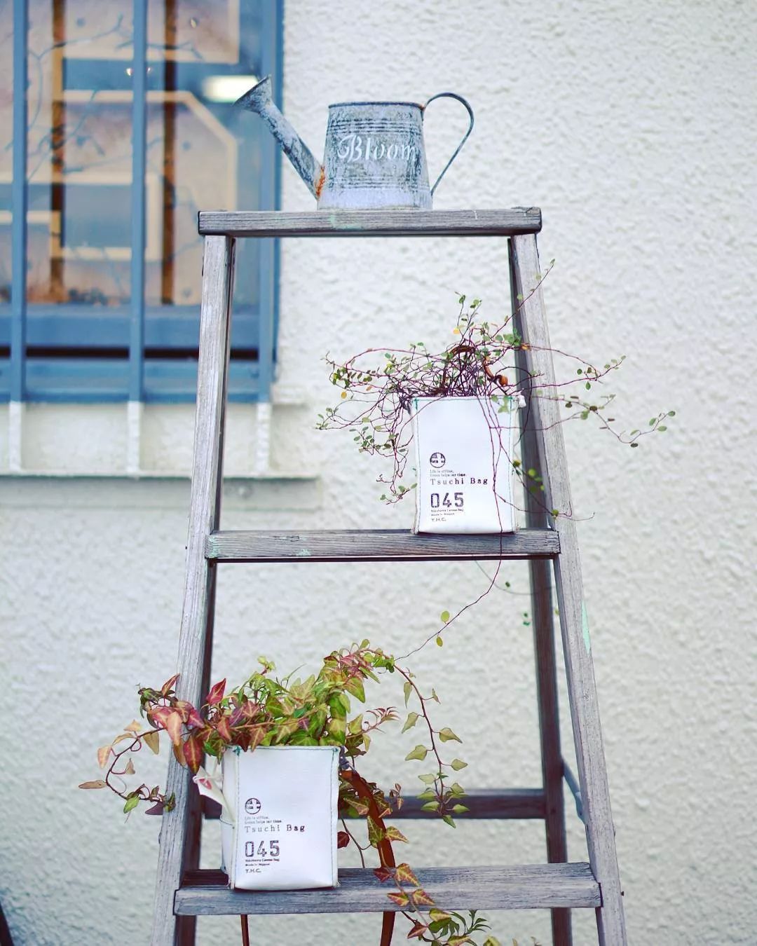 今年最火帆布包防水,防水帆布包推荐小众高级感