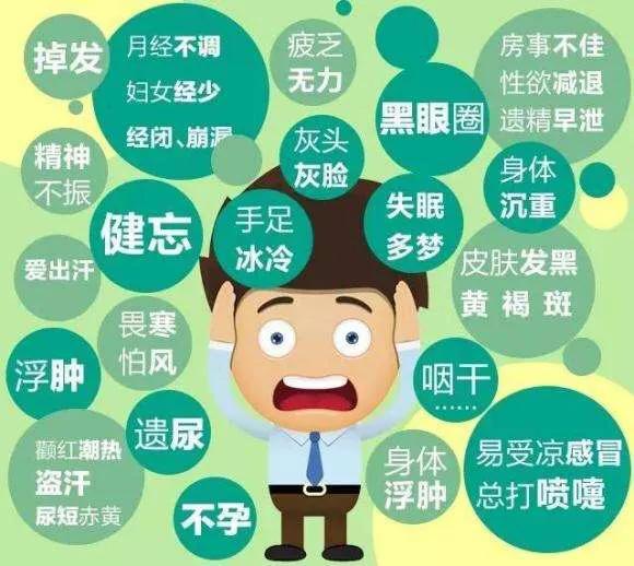 中医养生误区多是什么意思,养生误区土三七不是三七别乱吃