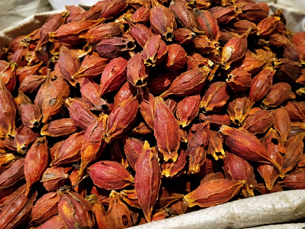 卤肉一般常用哪几种香料,卤肉最关键几种香料