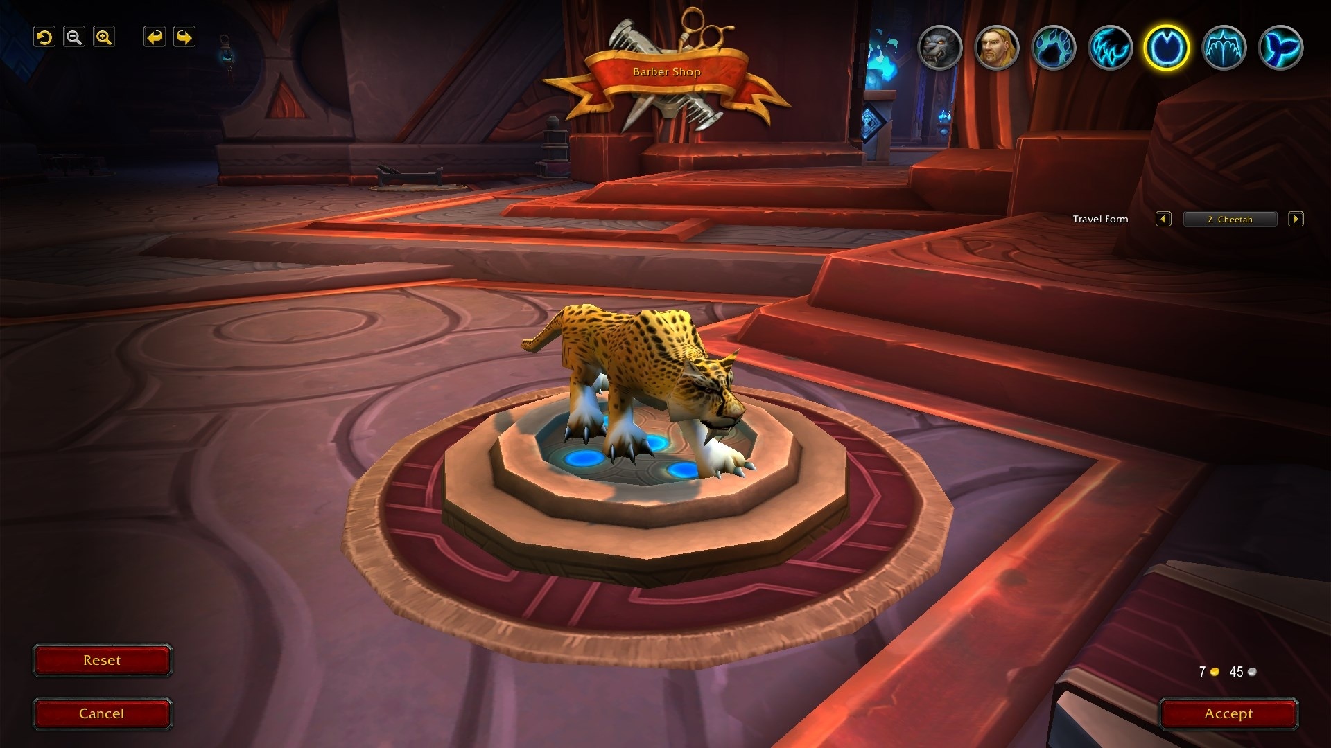 魔兽世界10.0德鲁伊造型,魔兽世界德鲁伊变身的地方在哪